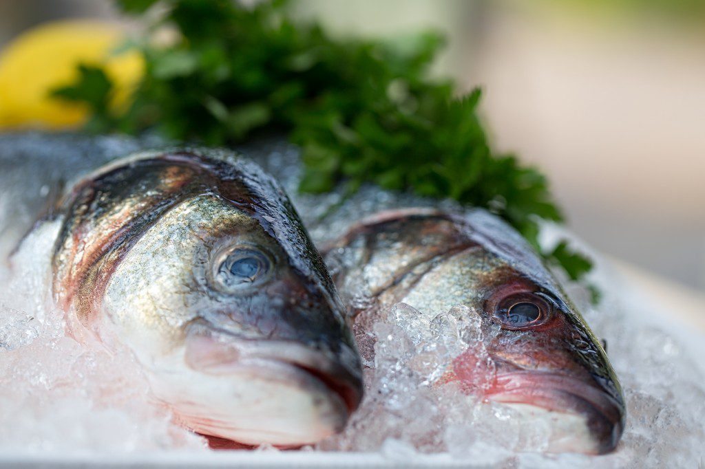 Food Photography, Commercial Photography. Sea Bass, Fish Pictures